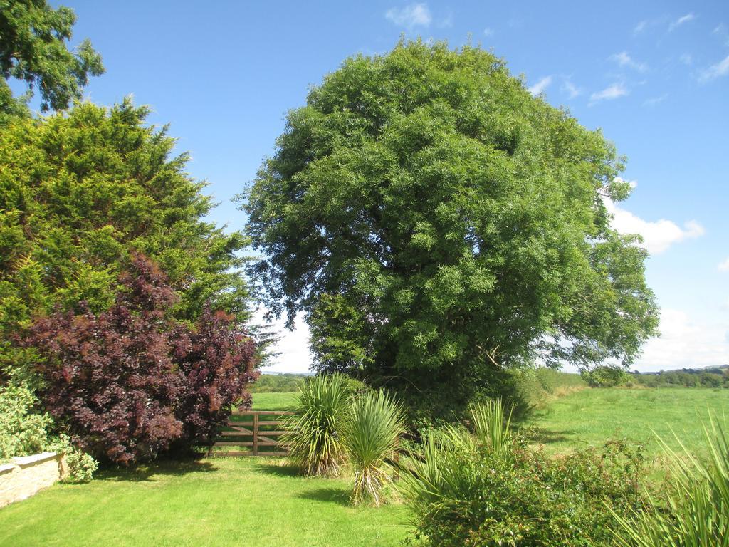 Tralia Farmhouse Self Catering Farranfore Buitenkant foto