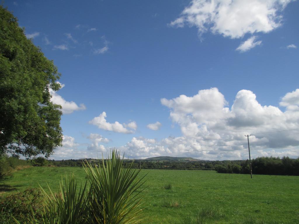 Tralia Farmhouse Self Catering Farranfore Buitenkant foto