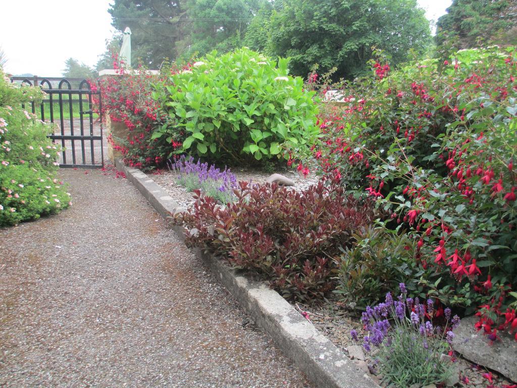 Tralia Farmhouse Self Catering Farranfore Kamer foto
