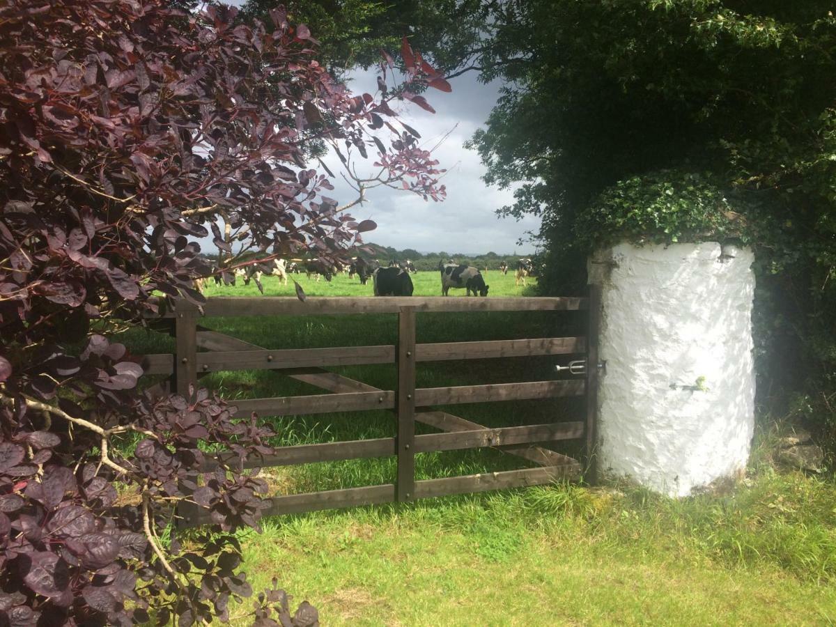 Tralia Farmhouse Self Catering Farranfore Buitenkant foto